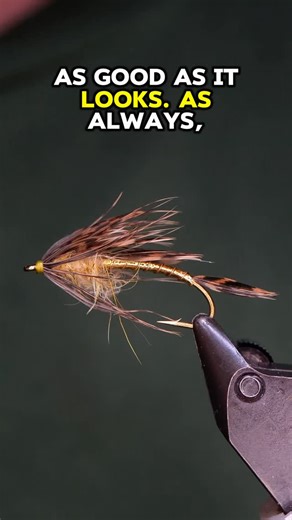 Brian Smith on Instagram: "@nickmangoflies Golden Stone Nymph Variant Hook: Core 1270 size 8 Thread: TheFlySmith 12 /0 traditional Tail, hackle, and wing buds: Snipe Body: Golden tinsel Rib: TheFlySmith 0.2mm wire Dubbing: Fischer’s Flies Perfect Blend Resin: uv craft Tools: TheFlySmith #fly #flytying #theflysmith #flytyingjunkie #flytyingtutorial"