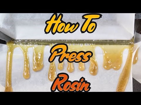 HOW TO PRESS ROSIN (Rosin Press Tutorial)