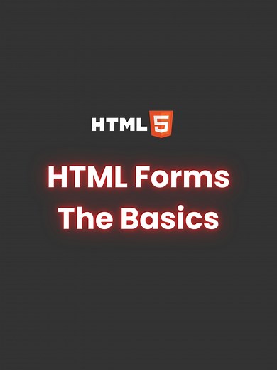 HTML Forms: A Beginner's Guide to User Input