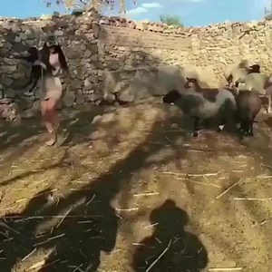 130K views · 2.9K reactions | Cram! | Tony Baker | Facebook