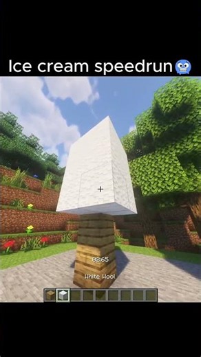 Ice cream speedrun🥶