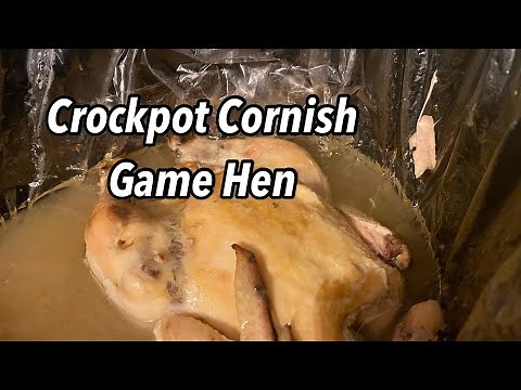 Crockpot Cornish Game Hens/Twisted Mikes