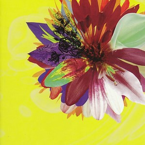 ガゼット - Cassis