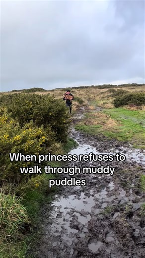 Princess the English Bulldog Puppy Avoids Muddy Puddles