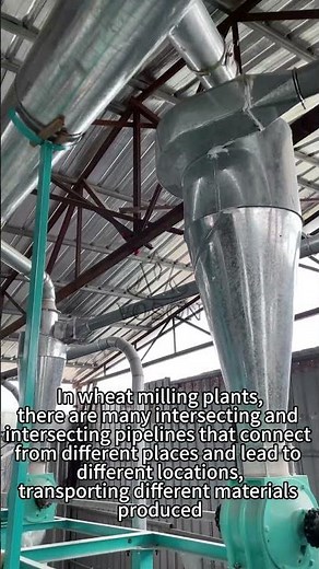 Complete Wheat Flour Milling Line from China