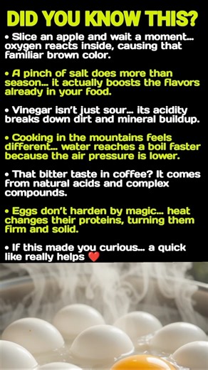 The Science Behind Everyday Food