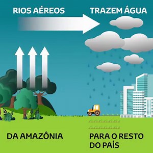 Você sabe o que é o fenômeno dos rios aéreos? Os rios voadores, como também são conhecidos, são imensas massas de vapor de água que circulam invisíveis no ar e ao se encontrarem com a umidade que evapora das florestas - como a Floresta Amazônica ou a Mata Atlântica, por exemplo - aumentam seu volume. Parte dessa umidade cai como chuva sobre a mata tropical e a outra parte promove chuvas nas regiões centro-oeste, sul e sudeste do Brasil. Hoje é Dia da Amazônia, patrimônio brasileiro que, assim co
