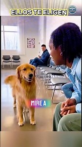 These dogs choose their humans and make them cry 😱 🐕 ❤️