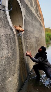 Basic catch big fish 🐟🐠 | Olivares Hunters