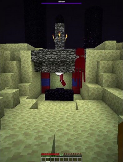 Wither Fight in the End