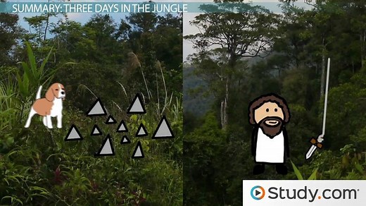 The Most Dangerous Game by Richard Connell | Summary & Themes