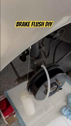 How to bleed drum brakes on a 1998-2002 Toyota Corolla, brake flush diy#brakefluid #diy #toyota