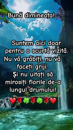 Dimineața minunată și binecuvântată!👏🏼🌱