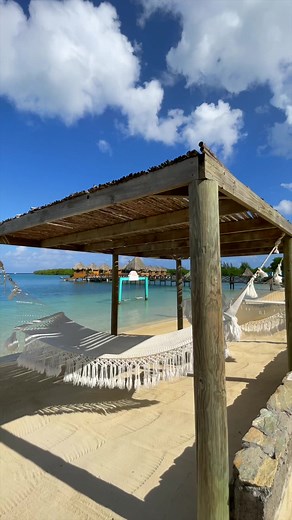 ¡Como Turquoise Bay no hay en esta vida! 💙🌴 #turquoisebay #turquoisebayresort #turquoisebayresortroatan #roatan #allinclusive #allinclusiveresort