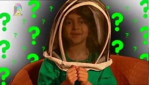 CBEEBIES Bits And Bobs Bees