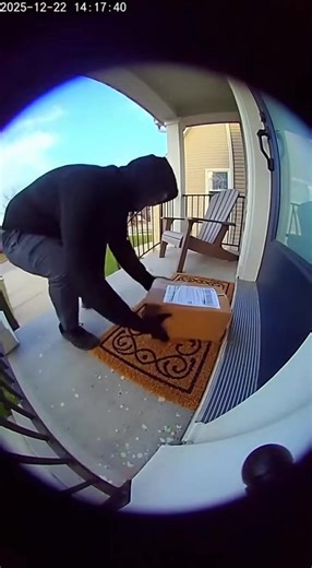 Furry Friends Vids (@furry.friends.vids)’s videos with original sound - Furry Friends Vids