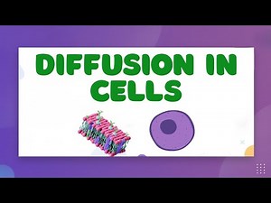 Diffusion in Cells — LearnStalk Biology