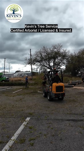 Kevin’s Tree Service - ISA Certified Arborist FL-9743A Professional Tree Removal, Proper Pruning, and Arborist Services. Serving: Oviedo • Winter Springs • Winter Park • Orlando • Maitland • Longwood • Sanford • Seminole & Orange Counties Call or Text: 407-971-7714 Fully Licensed & Insured. #kevinstreeservice #treeserviceorlando #orlandotreeservice #treeework #arboristnearme #treetrimming #treeremoval | Kevin's Tree Service