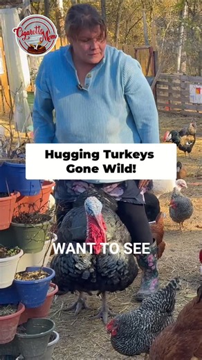 Butterball is always fronting! 😂 Hugging Turkey's Gone Wild! 🦃 #Turkey #ThanksgivingTurkey #Butterball #Comedy #Reels #SarahBethTerry #Fyp | Sarah Beth Terry