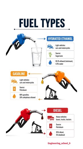 Fuel Types Explained: Gasoline vs Diesel vs Hydrated Ethanol | How Different Fuels Work ⛽️😱