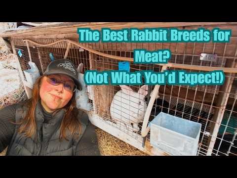 The BEST Rabbit Breeds For Meat? (Not What You'd Expect!)