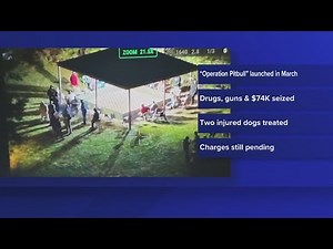 45 arrested in illegal dog fighting ring in East Texas, Newton County sheriff says