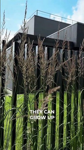 How to integrate plants into architecture 🪴