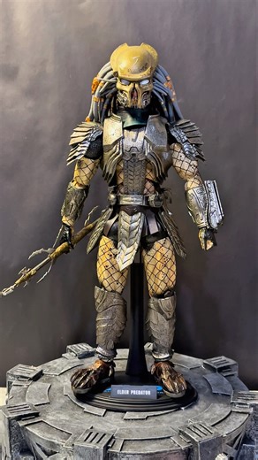 Elder Predator KO #alienvspredator #predator #predatorbadlands #elder #actionfigures #toys #fyp