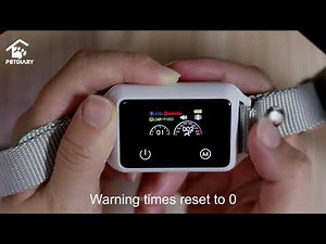 Petdiary B800 Dog Training Collar