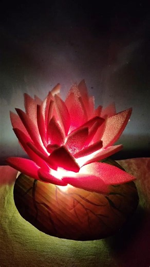 light wala kamal craft