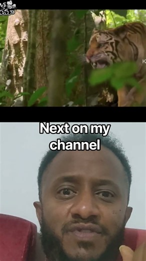 Survival Boy On The Jungle Movie #movie #film #viral