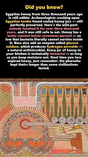3,000-Year-Old Egyptian Honey Still Edible #Shorts