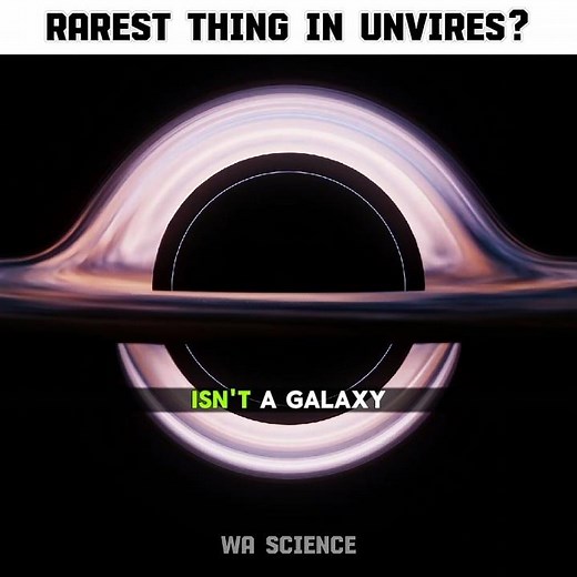 The Most Rarest Thing In The Universe?