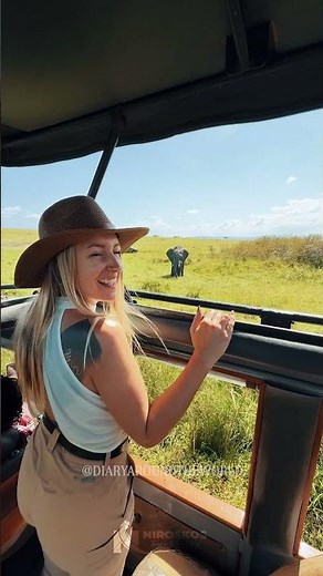 ECHOES FROM THE WILD x MAASAI MARA #masaimaranationalpark #exploreafrica #kenyawildlife #maasaimara