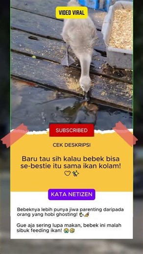 Bebek Kasih Makan Ikan? Rahasia Naluri Unik di Balik Videonya! #shorts #beritaviral