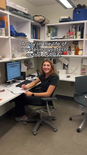 For #NationalInternDay, check out a day in the life of our veterinary interns. Here at the ASPCA, growth, development, and skill-building are embedded in our culture. You’ll have a strong team to lean on and learn with. We offer internships, externships, fellowships, a shelter medicine residency, and other training programs. Build your skills with the ASPCA! For more information, go here. http://aspcapro.org/veterinarytraining @ASPCA #jobopportunities #tiktok #fyp #foryoupage #animalwelfare #asp