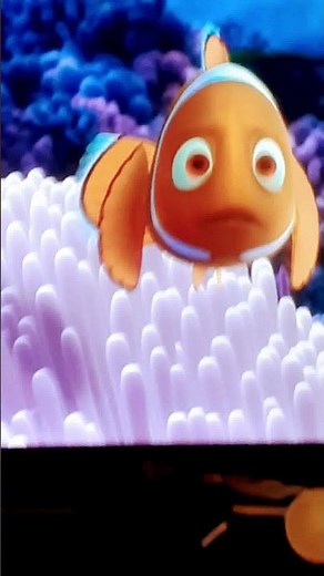 finding Nemo DVD's