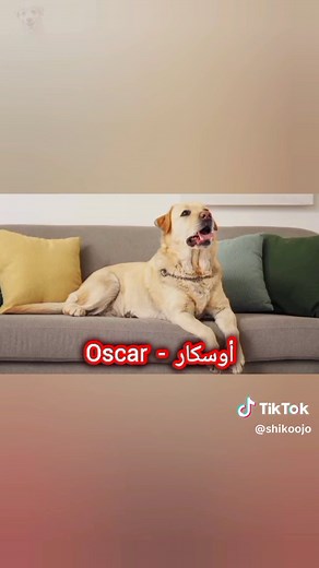 أفضل أسماء كلاب للذكور والإناث 2024