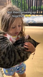 The connection between these two is truly adorable! 🥹🥹 | Material De Estudio Digital