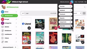 MackinVIA: Class Sets