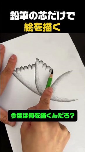 鉛筆の芯だけで絵を描く 絵