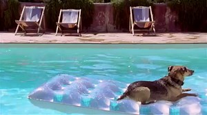 Summer goal | Redbook Magazine