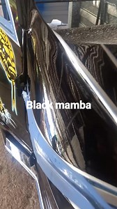 Black mamba | Johnny's Sidecar