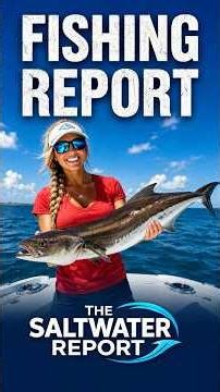 Large Bluefish Caught May 14 #fishing #catch #report
