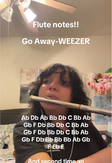 Yo yo im back #flute #flutetok #songnotes #tutorials #fyp | go away flute notes