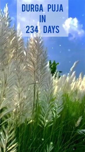 Maa Durga WhatsApp Status |#shorts​ #viralvideo​ #navaratri​ #ytshorts​