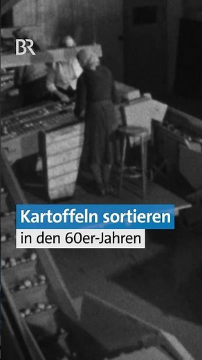 🥔Kartoffeln sortieren früher & heute | 60er-Jahre #retro #kartoffelanbau #landmaschinen | BR