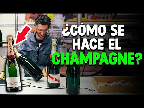 Cómo Se Hace El CHAMPAGNE? [Proceso En Fábrica]