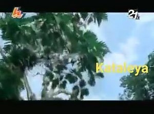 CANTA CORAZON 🎵ALEJANDRO FERNANDEZ 💖🌺💖🌺💖🌺💖🌺💖🌺 | Kataleya musica de hoy y del ayer