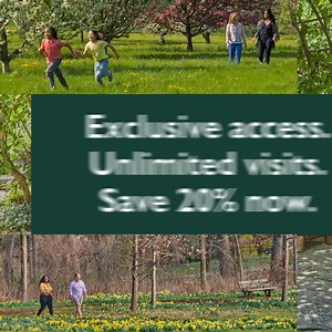 Save 20% on a new membership to The Morton Arboretum with promo code SPRING25 and revel in the calming beauty of nature across 1,700 acres. Discover larger-than-life sculptures in the new Vivid Creatures exhibition, spark joy in the Children’s Garden, and get exclusive access to special events. Become a member today and enjoy a year of FREE ADMISSION and perks. Restrictions apply. | The Morton Arboretum | Facebook